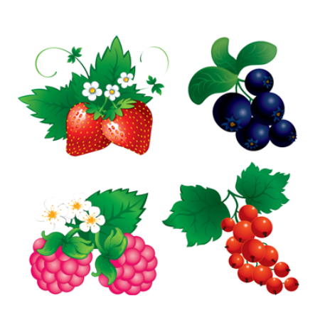 Picture for category Berry