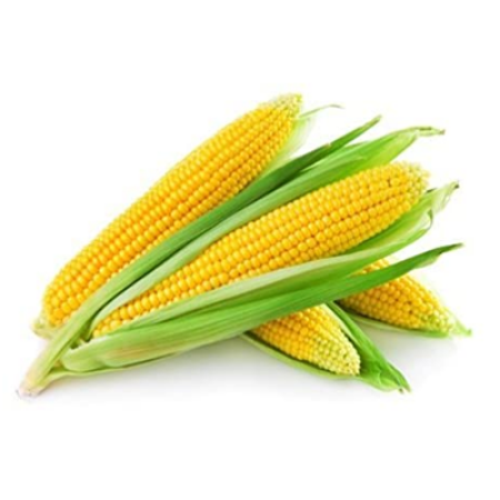 Picture for category Corn