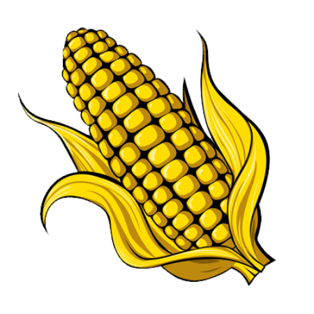 Picture for category Corn Cob/Corn Nibblets/Bags