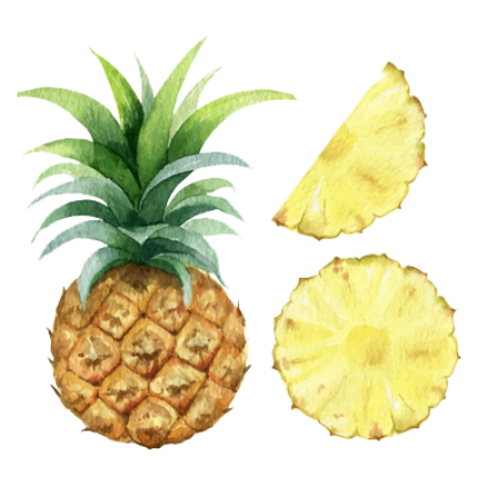 Picture for category Pineapple