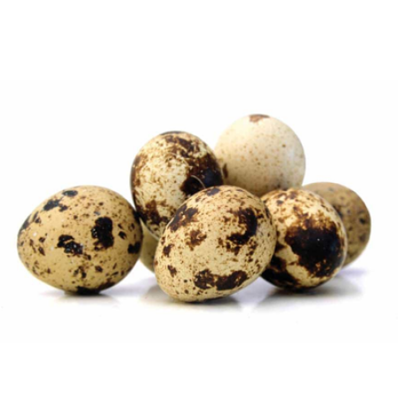 Picture for category Quails Eggs