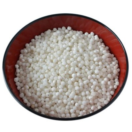 Picture for category Sago Seeds