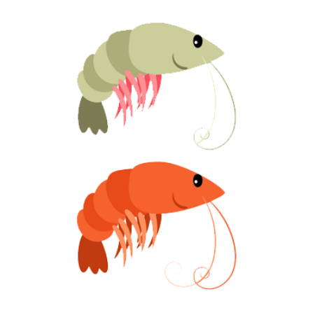 Picture for category Shrimps Products